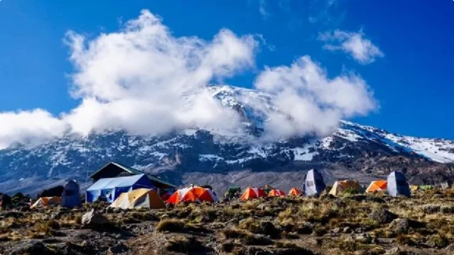Mt. Kilimanjaro