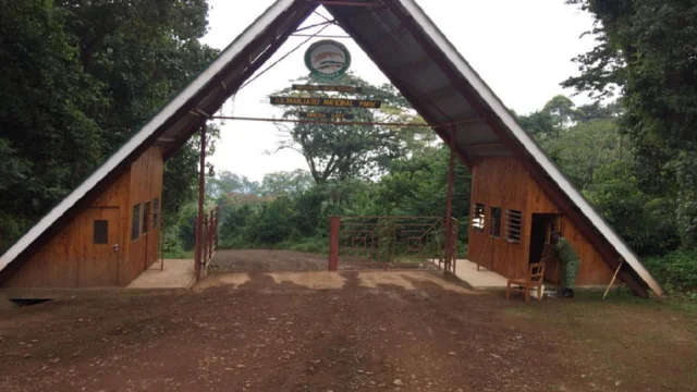 Mt. Kilimanjaro — photo 3