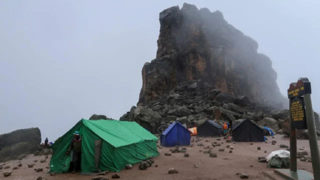 Mt. Kilimanjaro — photo 3