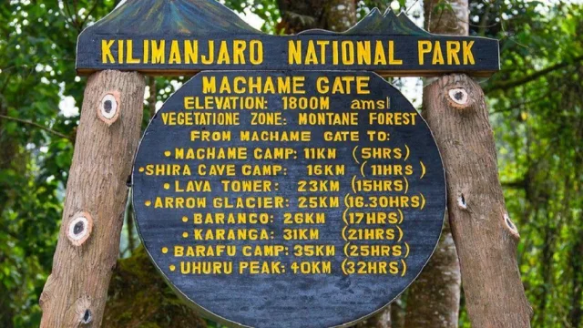Mt. Kilimanjaro — photo 1