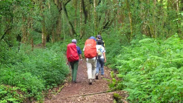 Mt. Kilimanjaro — photo 6