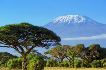 Mt. Kilimanjaro — photo 1