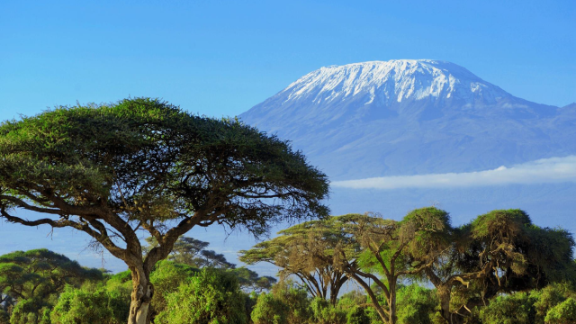 Kilimanjaro-Marangu-2