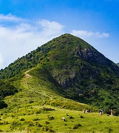 Horsely Hill
