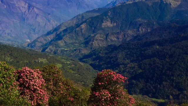 Ghorepani-Poon-13