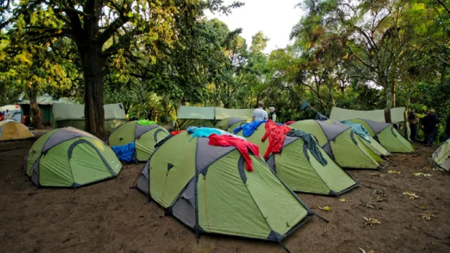 Kilimanjaro-Lemosho-2 (1)