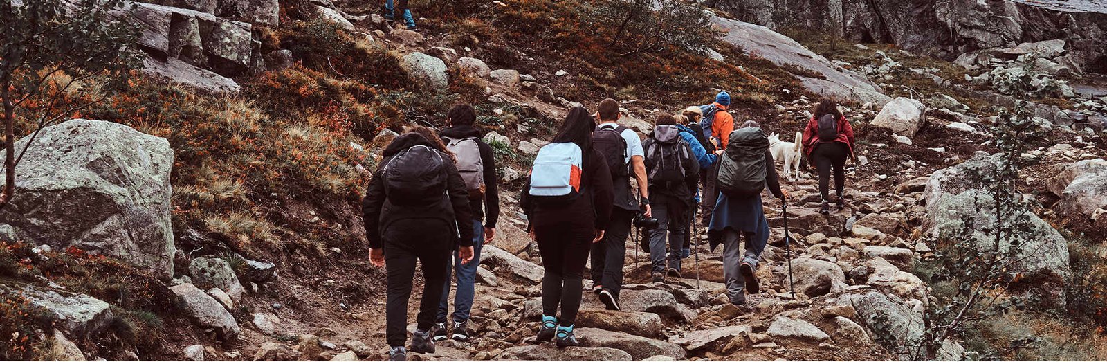explore-treks_banner-1