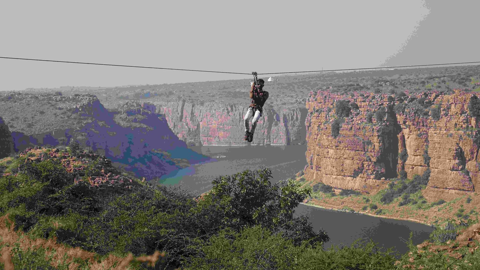 Zip Line